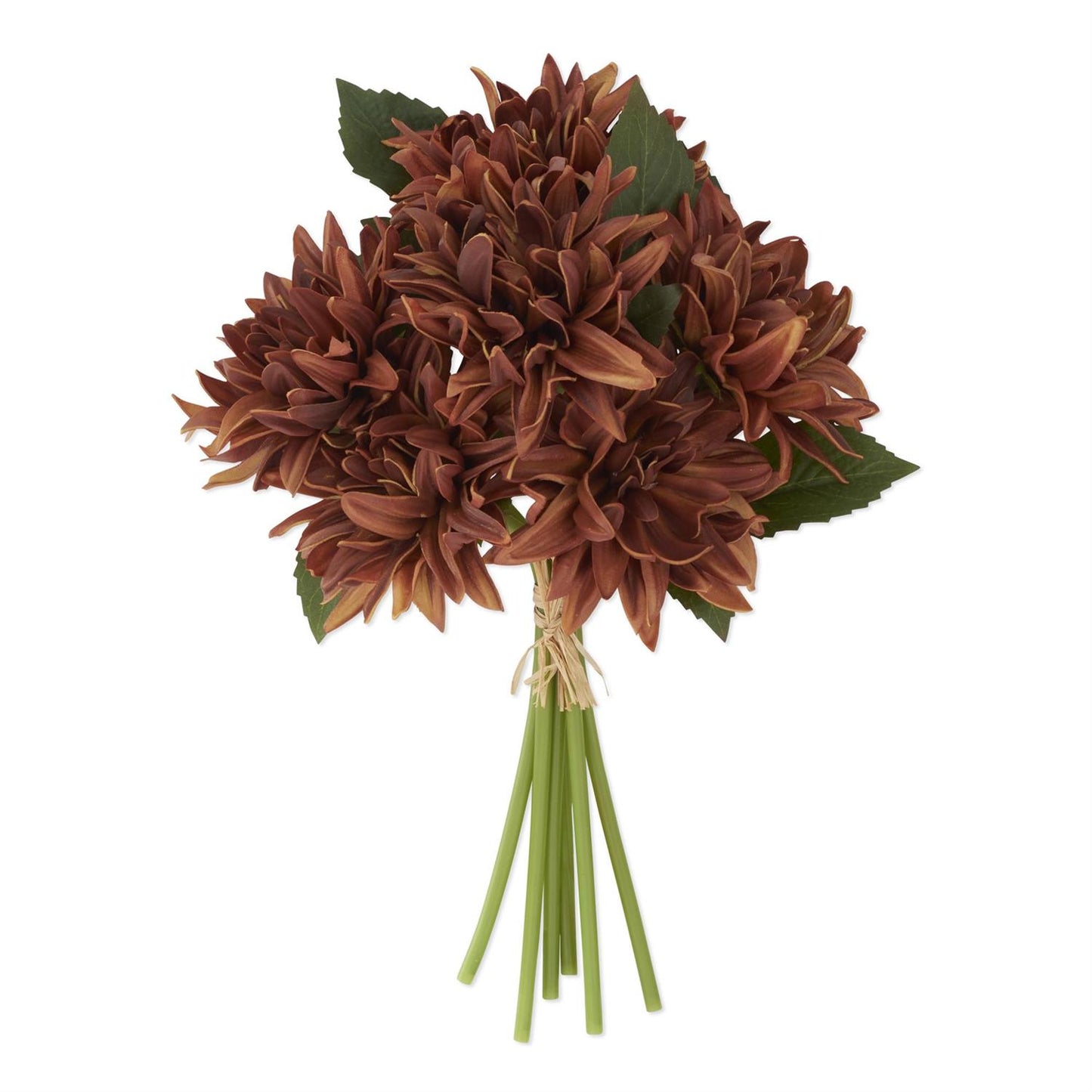 Autumn Dahlia Bundle