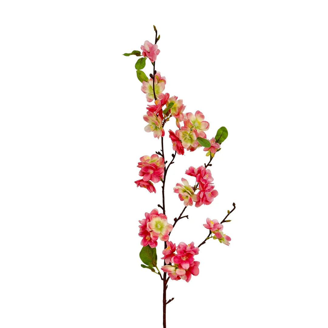 Apple Blossom Spray
