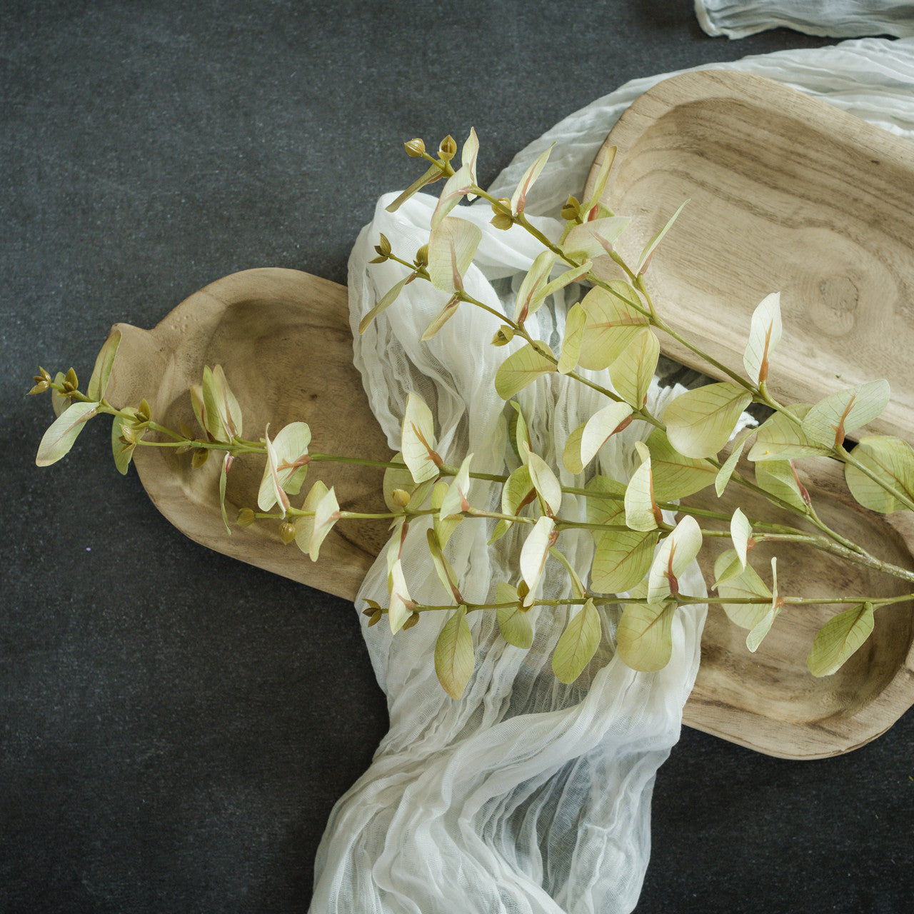 Pale Green Eucalyptus