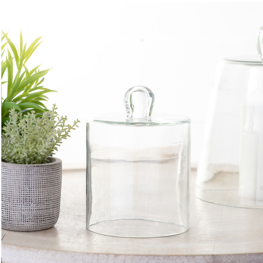 5.5" Glass Cloche
