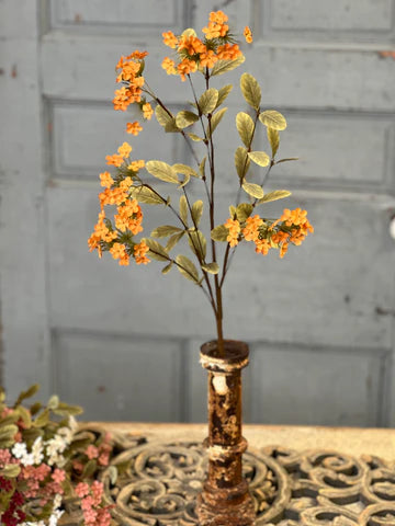 Lisette Blooms