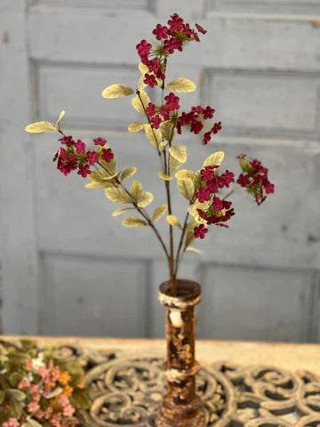 Lisette Blooms