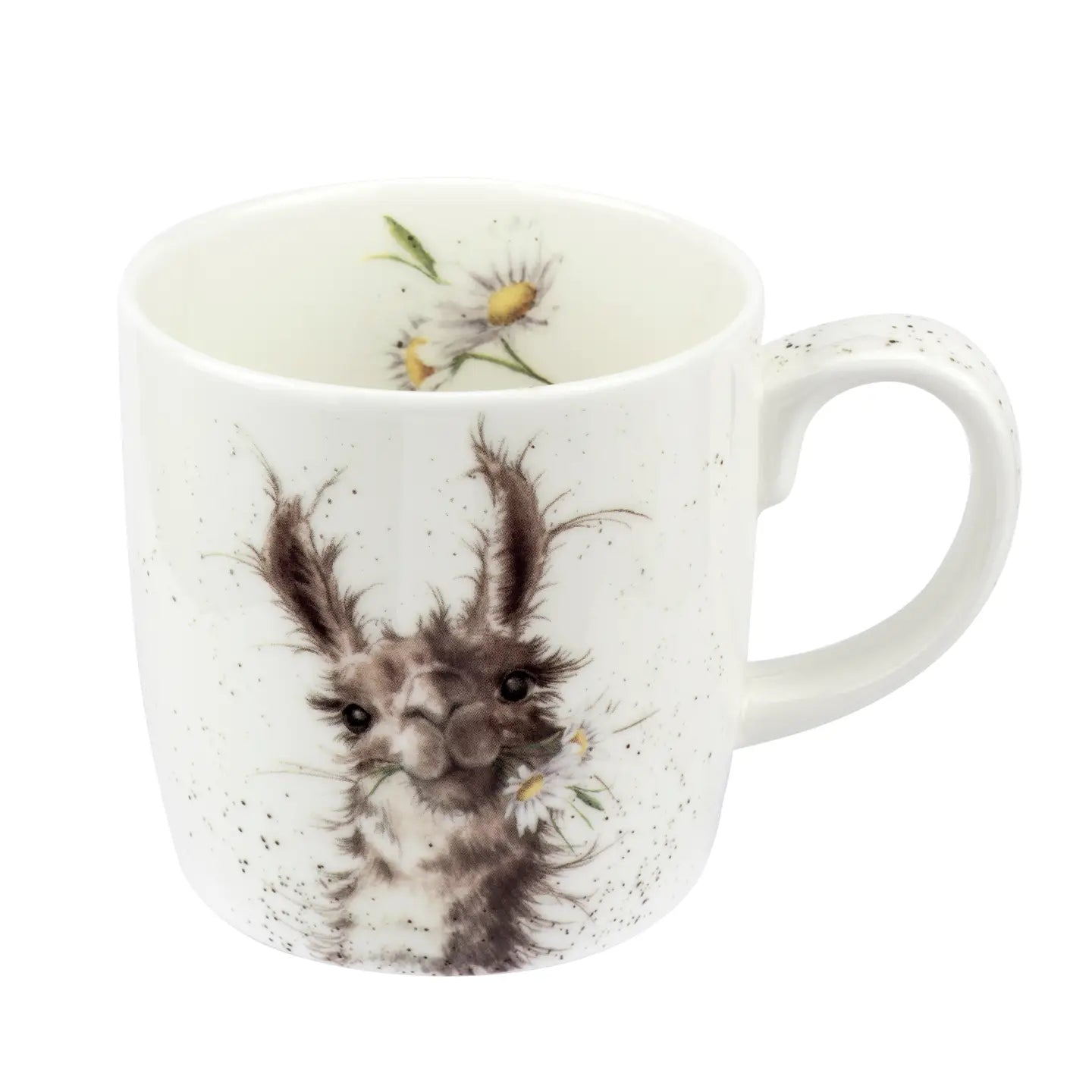 Royal Worcester Wrendale Designs Mugs