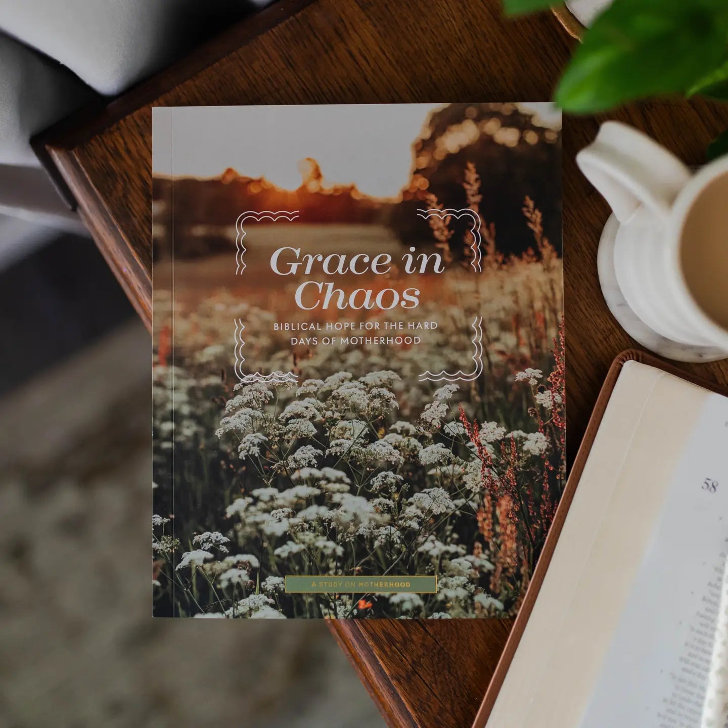 The Daily Grace Studies