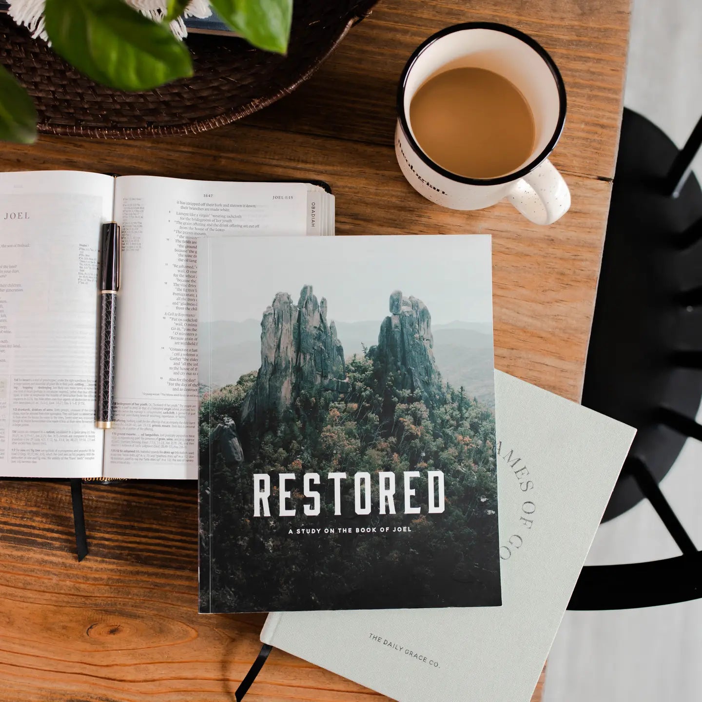 The Daily Grace Studies