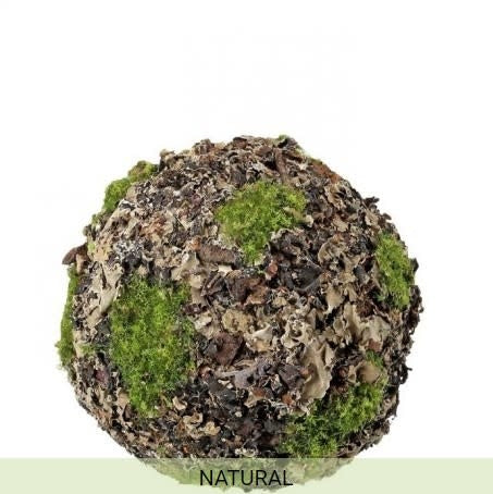 LICHEN MOSS ORB 5" (NATURAL) | Floral | Sunday Night Dinner | |