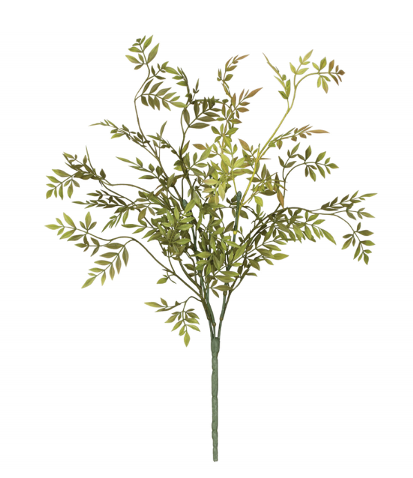 WISTERIA PICK | Floral | Sunday Night Dinner |  |