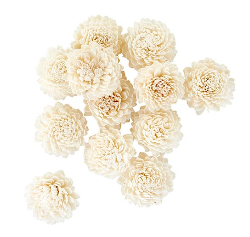 Dried Zenia Set/12 | Floral | Sunday Night Dinner | |