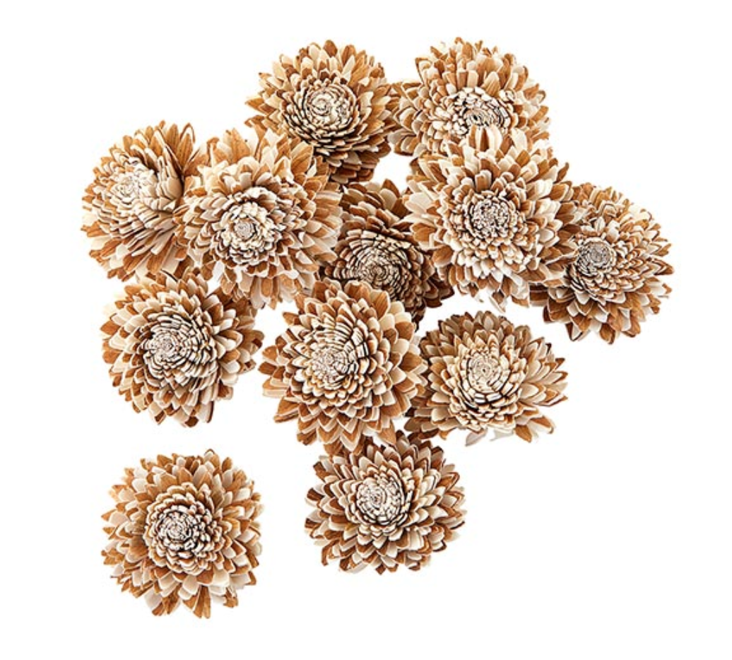 Shola Star Set/12 | Floral | Sunday Night Dinner | |