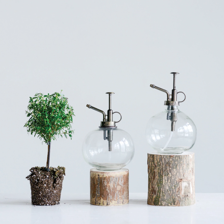 Glass Plant Mister | Floral | Sunday Night Dinner | |