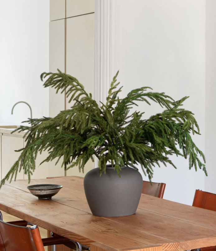 38" NATURAL TOUCH NORFOLK PINE SPRAY | Holiday | Sunday Night Dinner | |