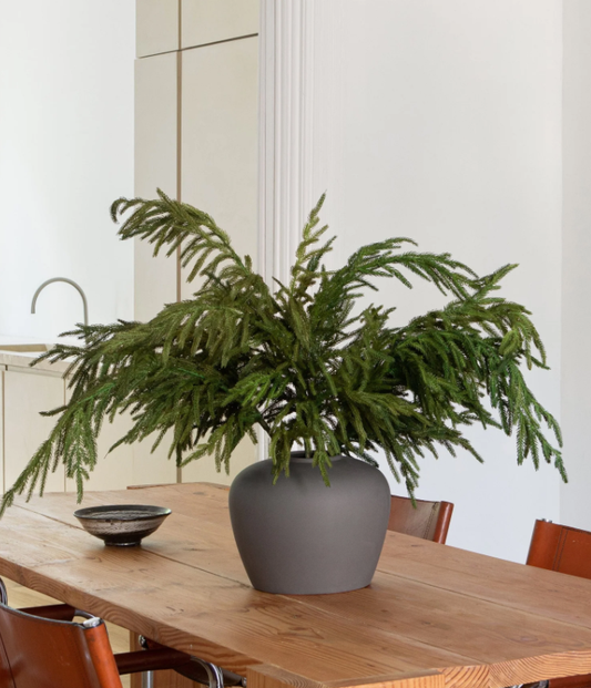 38" NATURAL TOUCH NORFOLK PINE SPRAY | Holiday | Sunday Night Dinner |  |