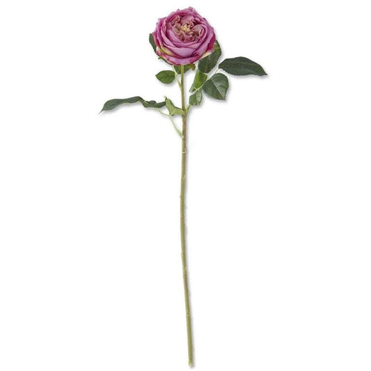 24" Dark Purple Real Touch Austin Rose Stem | Floral | Sunday Night Dinner |  | 