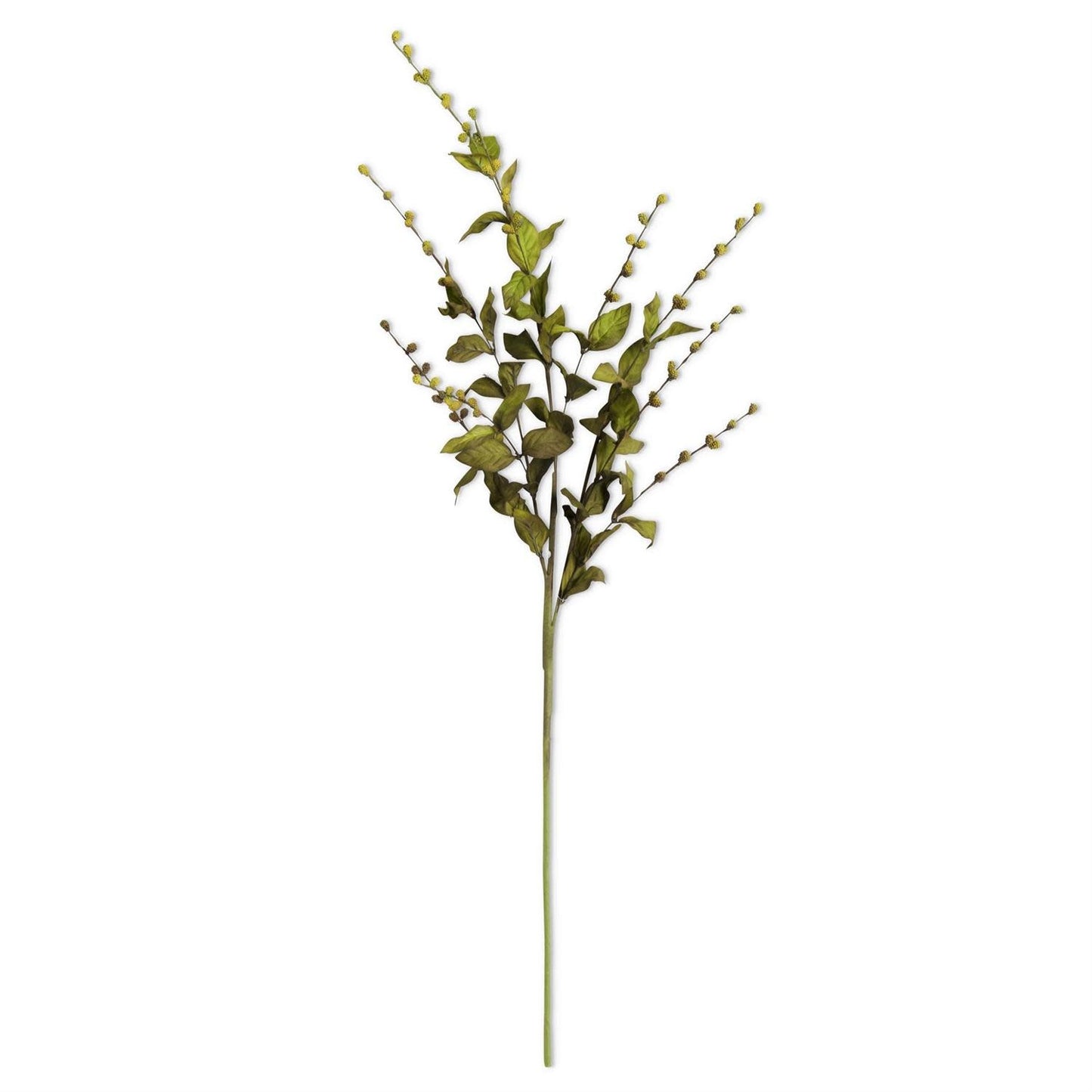 35 Inch Green European Beech Stem | Floral | Sunday Night Dinner |  | 