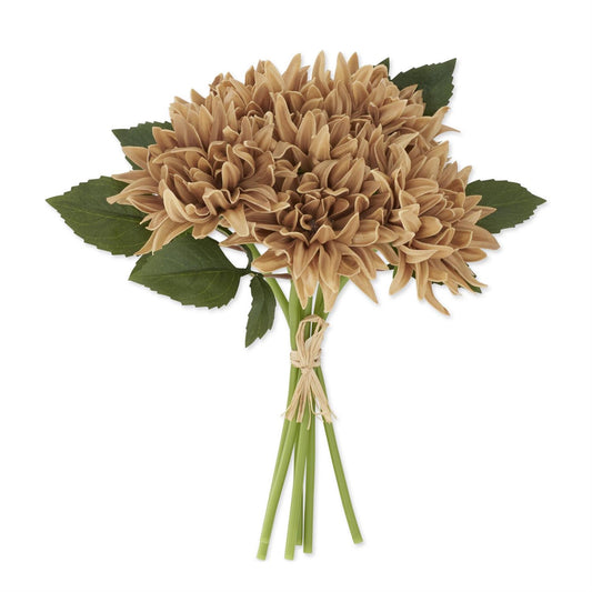 Autumn Dahlia Bundle
