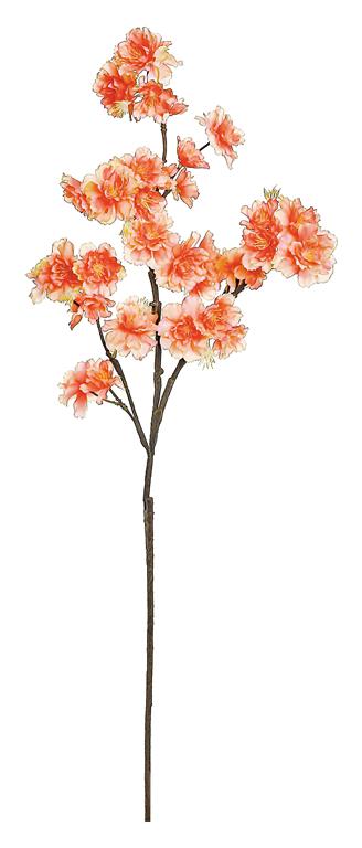 Coral Cherry Blossom Branch