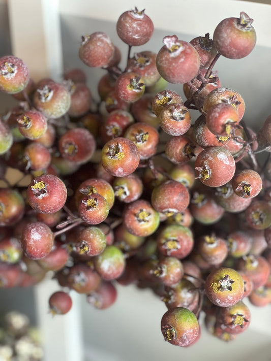 Keepsake Berry Spray