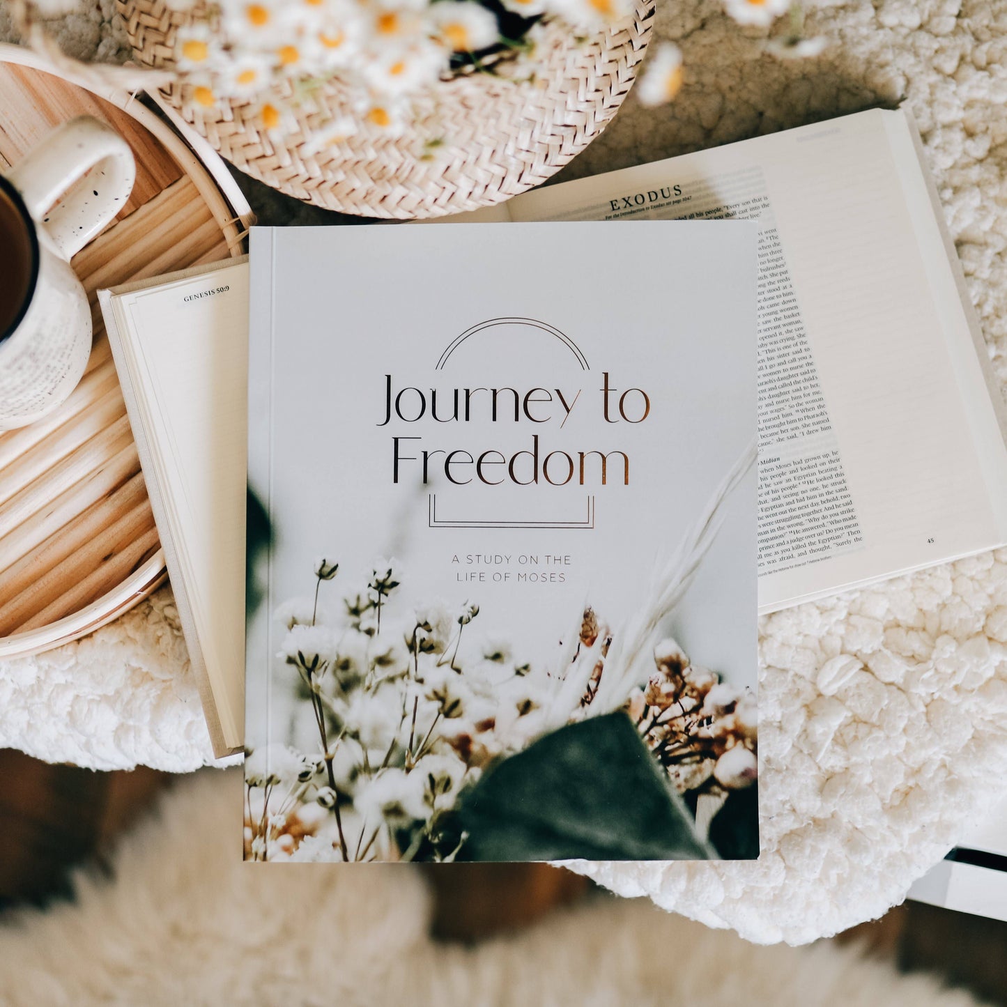 Journey to Freedom | The Life of Moses