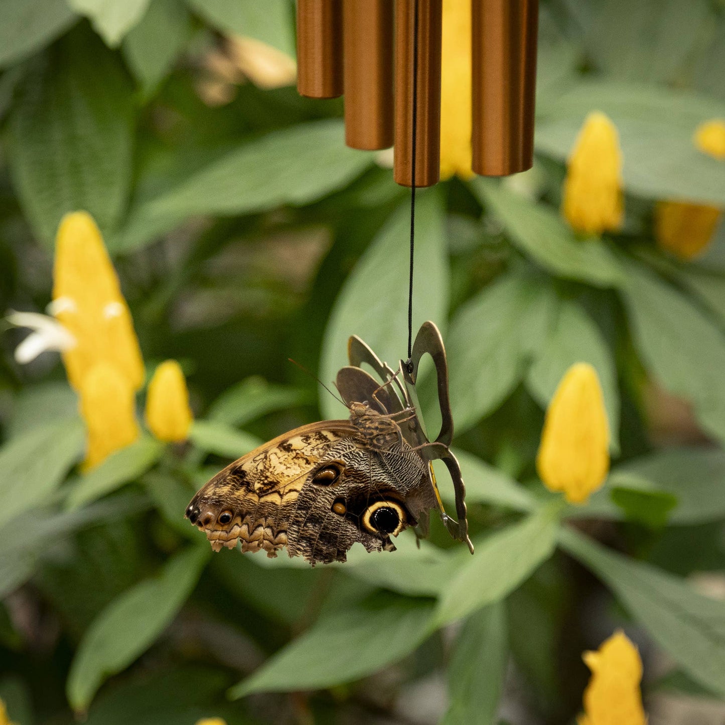 My Butterfly Chime™