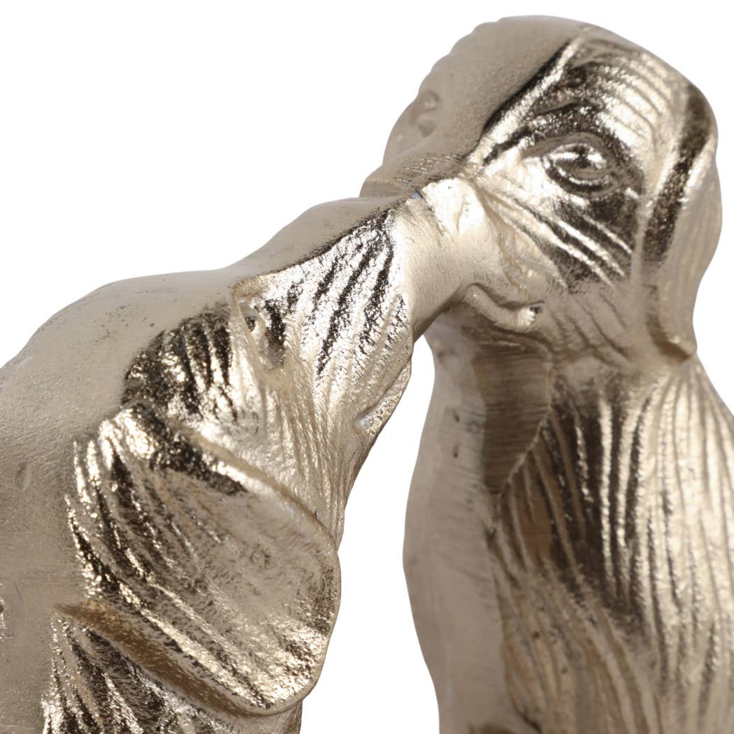 Cute Kissing Dogs