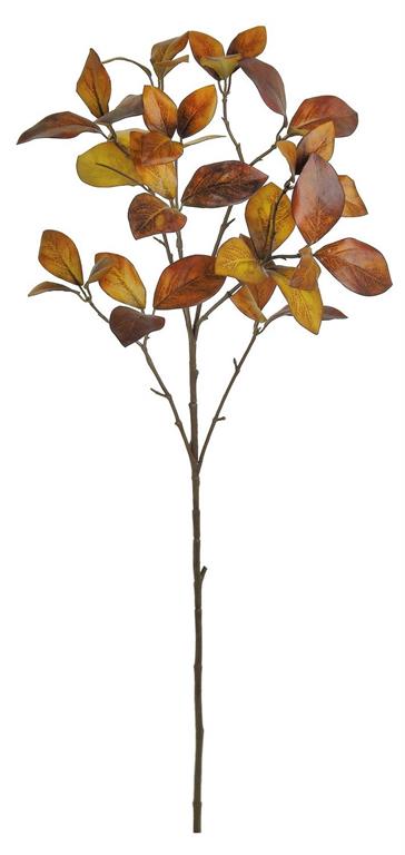 ENKIANTHUS FOLIAGE SPRAY