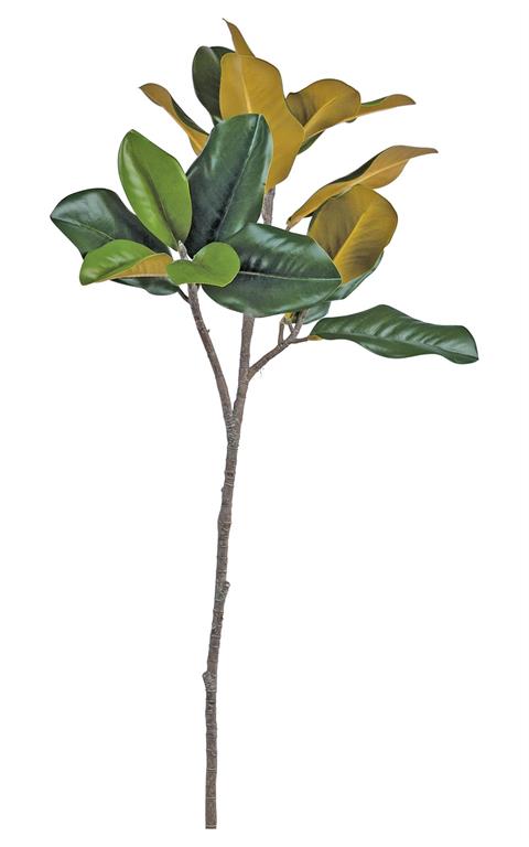 Southern Magnolia Leaf Spray | 28"