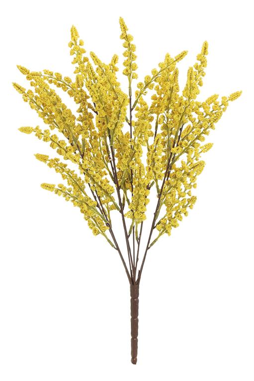 Silver Wattle Bush | Mustard | 18"