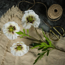 WHITE POPPY SPRAY