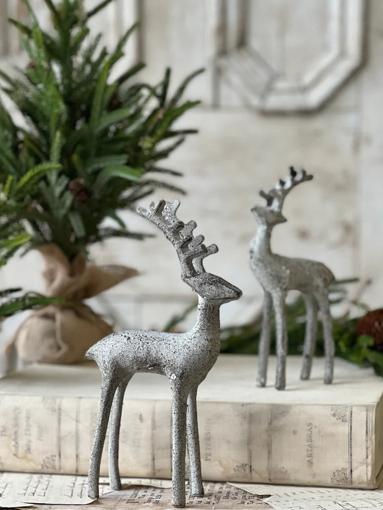 Stately Stag