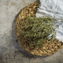 GREEN DANCE PLANT BUSH