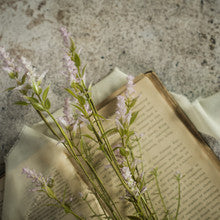 PURPLE FEATHER CONE SPRAY