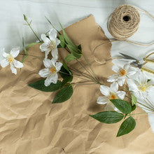 WHITE CLEMATIS FLORIDA SPRAY