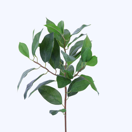 Laurel Spray
