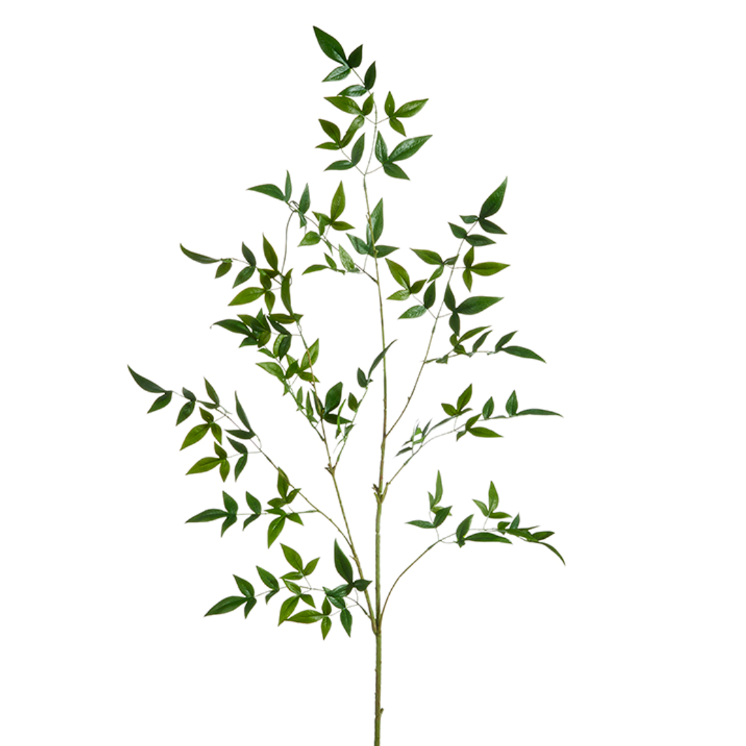 Green Leaf Branch