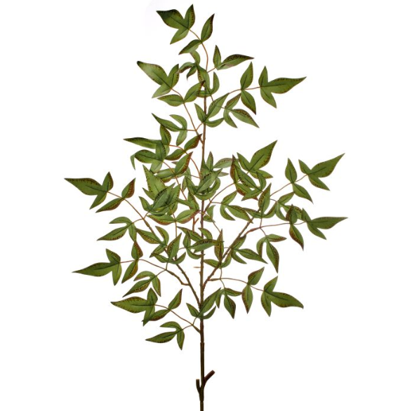 Green Brown Nandina Spray