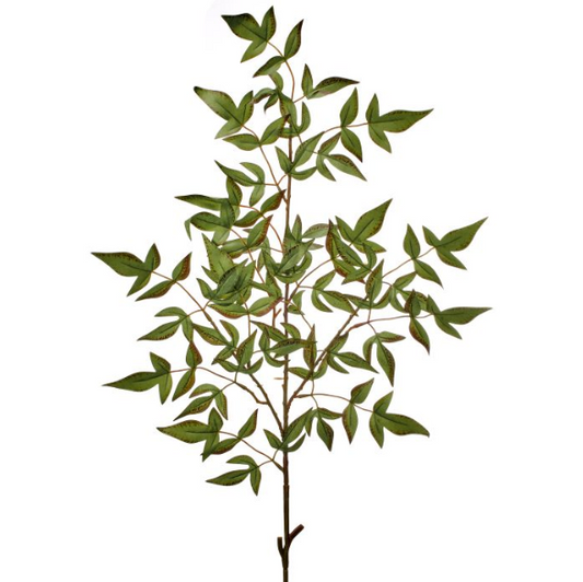 Green Brown Nandina Spray