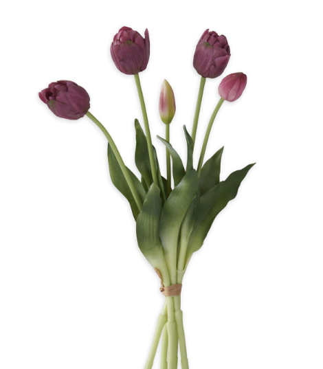 UV Protected Tulips