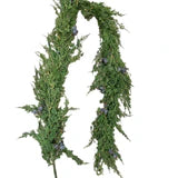 CEDAR/BERRY GARLAND 6' × 36