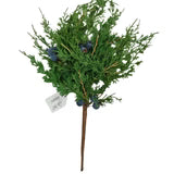 CEDAR/BERRY PICK