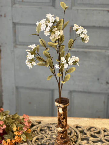 Lisette Blooms