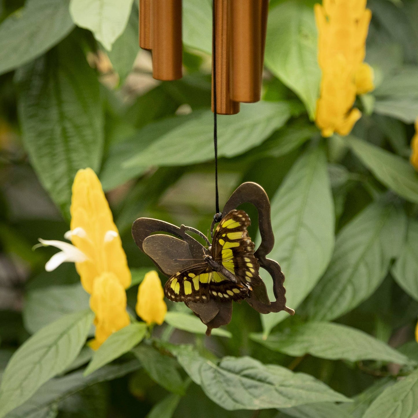 My Butterfly Chime™
