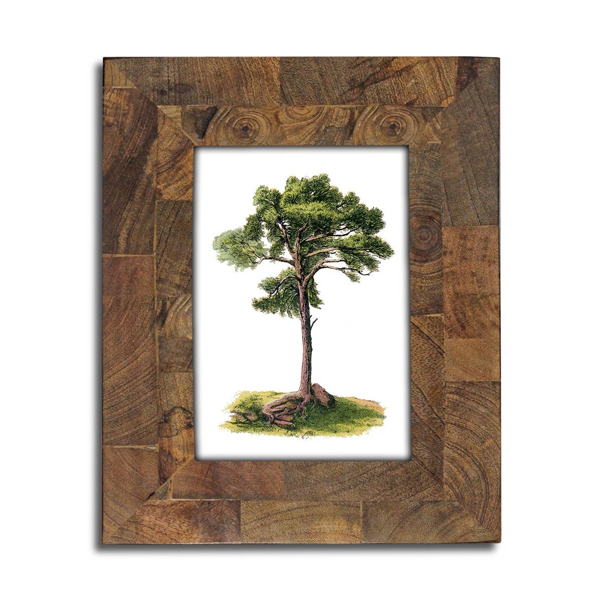 EcoFrame 5x7 - Sustainable Wood Photo Frame