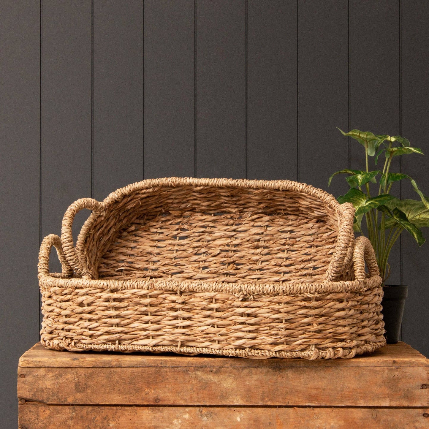 Handmade Seagrass Oval Basket Trays