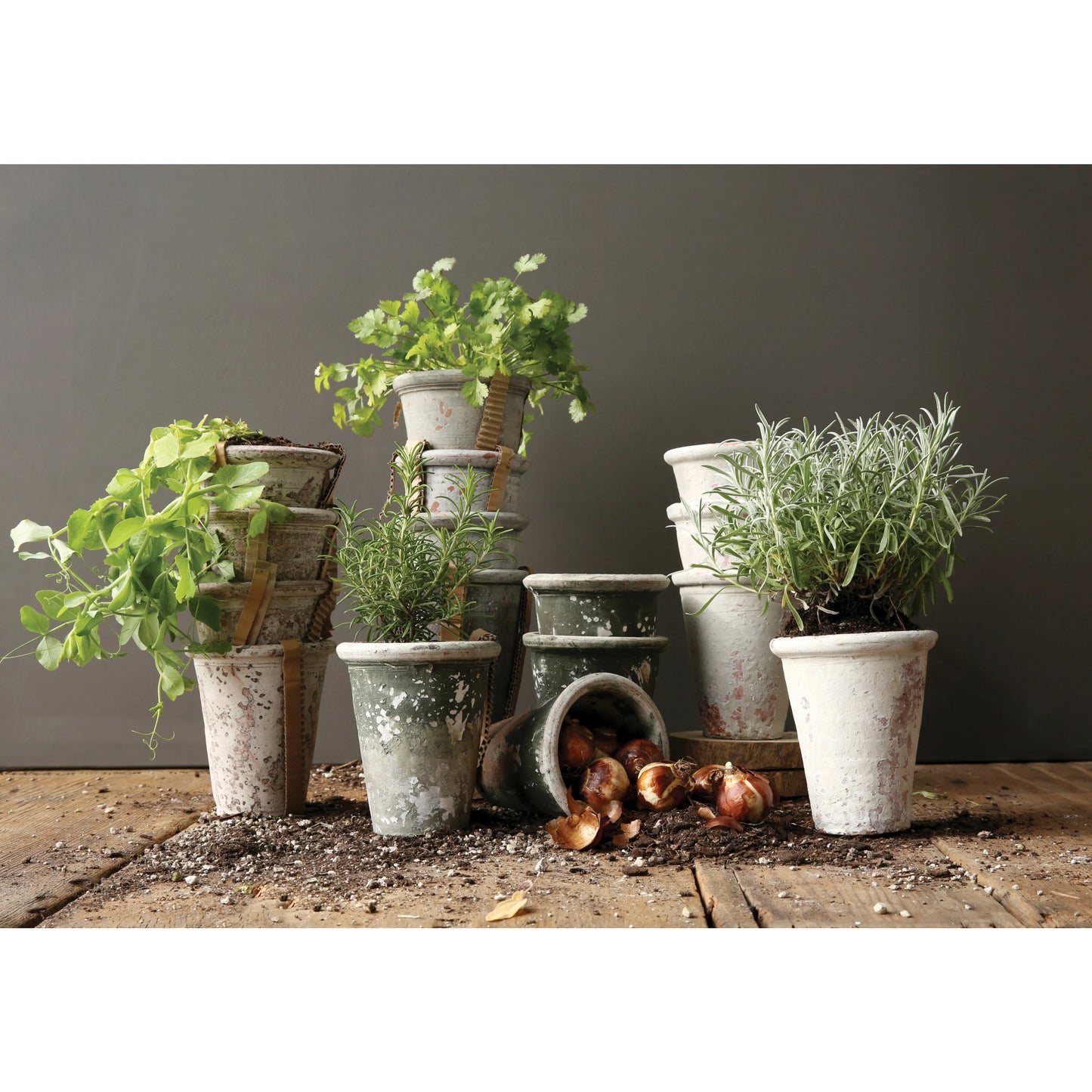 Distressed Clay Pot | Green