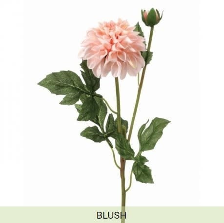 GARDEN DAHLIA SPRAY +BUD - Blush | Floral | Sunday Night Dinner |  | 
