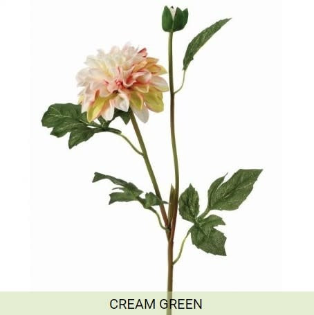 GARDEN DAHLIA SPRAY +BUD - Cream Green | Floral | Sunday Night Dinner |  | 