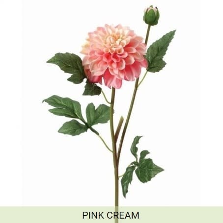GARDEN DAHLIA SPRAY +BUD - Pink Cream | Floral | Sunday Night Dinner |  | 