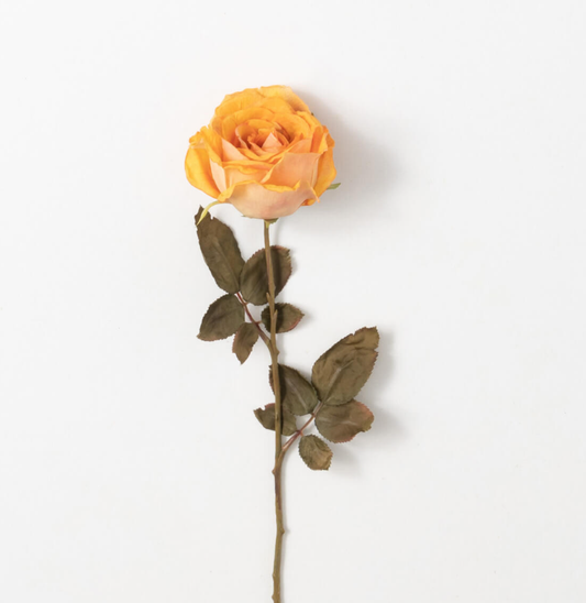 CALISTA ROSE STEM - Gold | Floral | Sunday Night Dinner |  | 