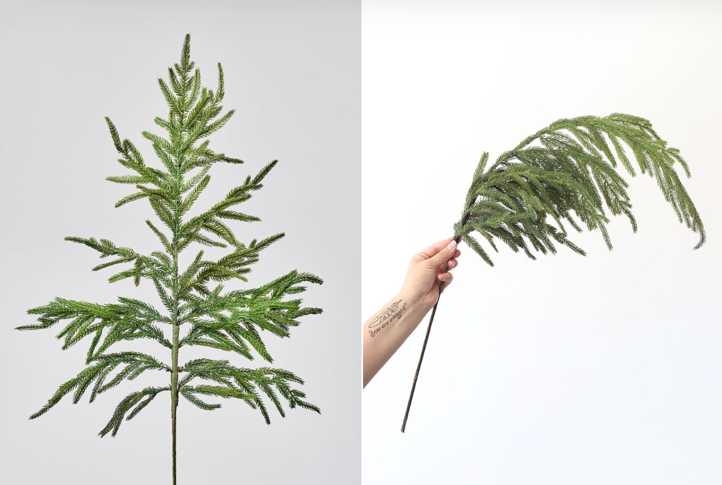 38" NATURAL TOUCH NORFOLK PINE SPRAY | Holiday | Sunday Night Dinner |  | 